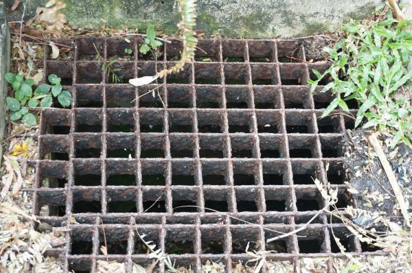 Cost of Yard Drain Cleaning in Edison