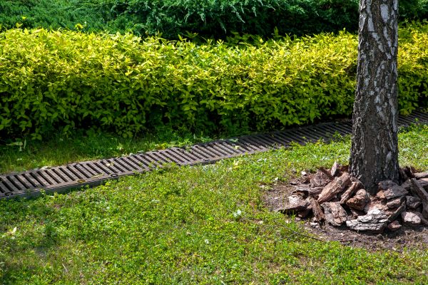 Cost of Residential Landscape Drainage in Edison