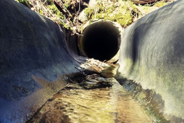 Cost of Drainage Swale Installation in Edison